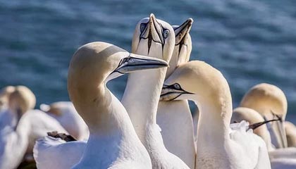 开云体育APP-甘肃一名原局长被通报