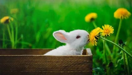 开云体育APP-甘肃一名原局长被通报